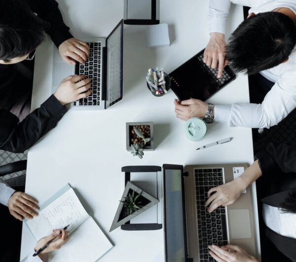 formation, entreprise, conseil, VNS Conseil